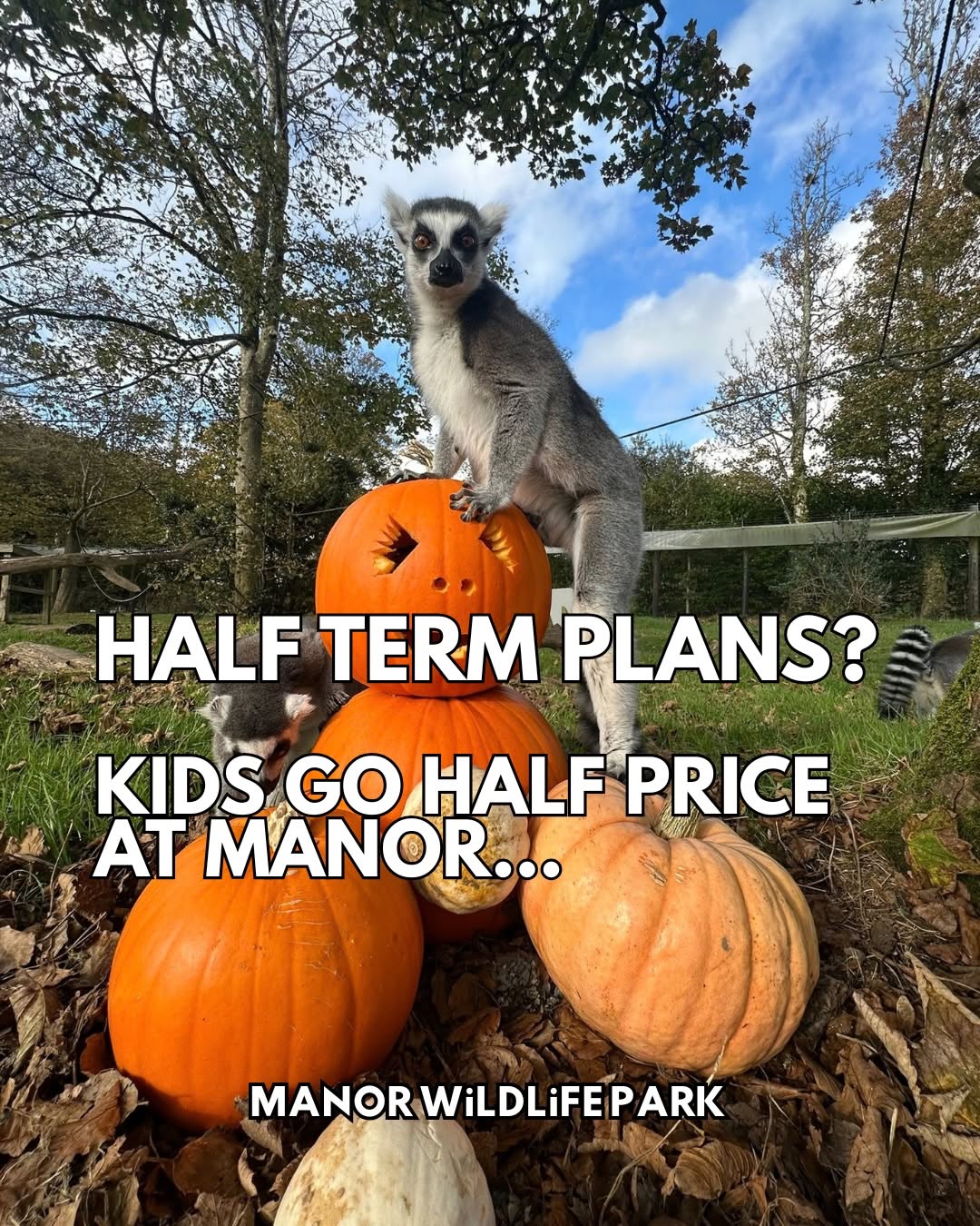 , Things to do in Pembrokeshire this October Half-Term 2026