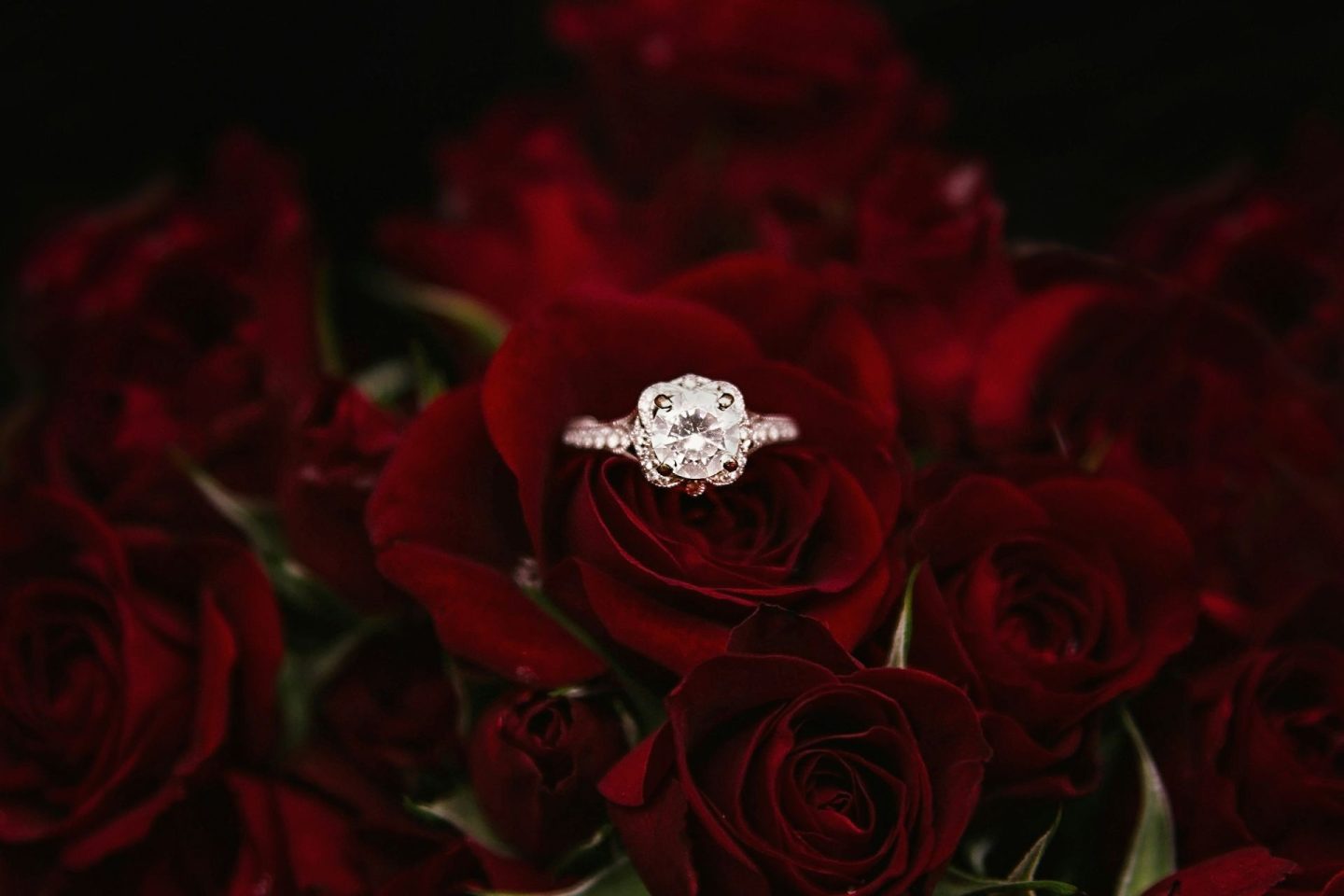4 Clever and Simple Marriage Proposal Ideas We Absolutely Love