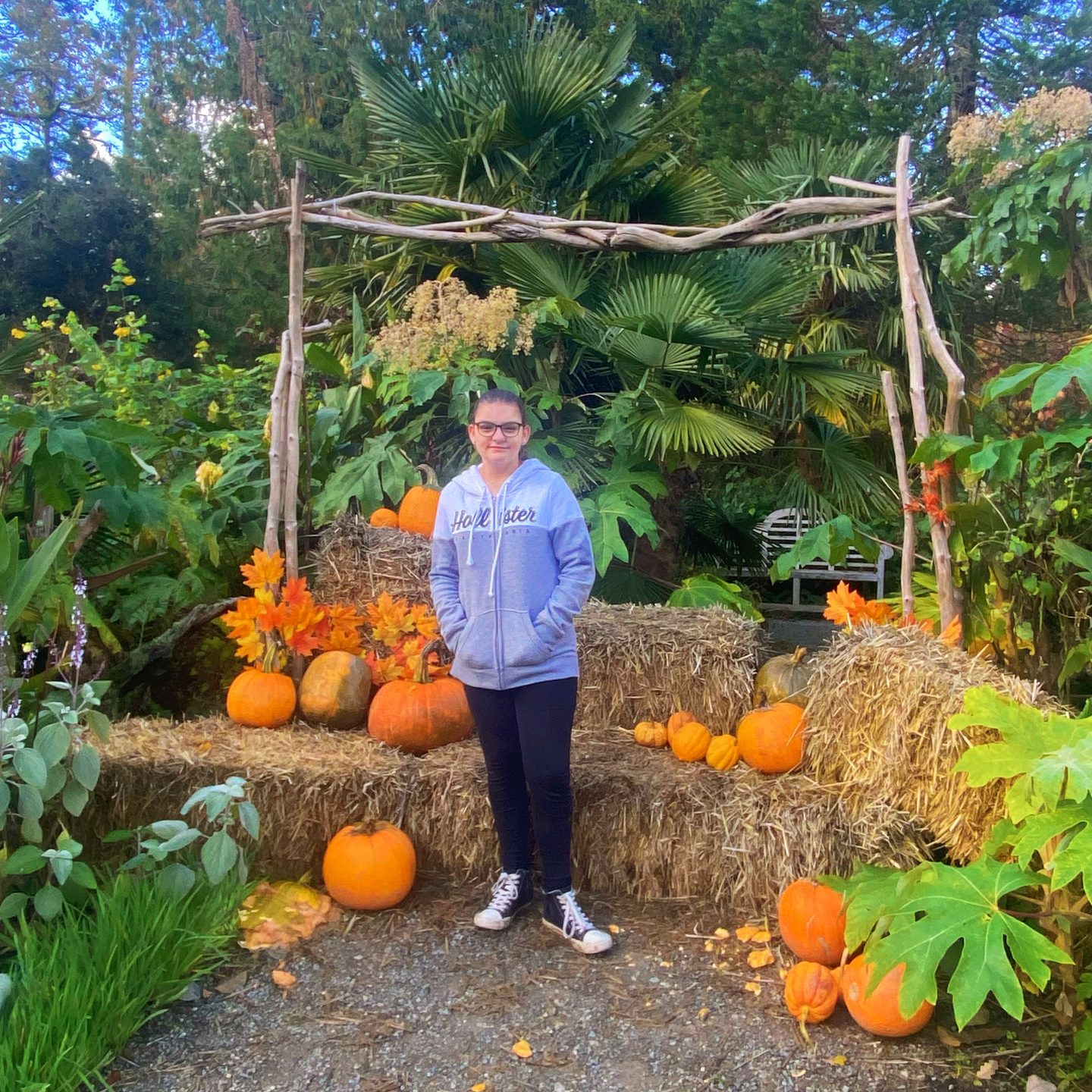, Blogtober Day 1: My October Wishlist 2026